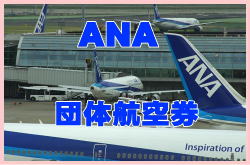 ANAの団体航空券の設定